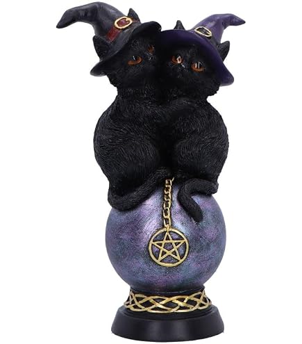 Amazon.com: Nemesis Now Gone Wild 15.5cm, Black : Home & Kitchen